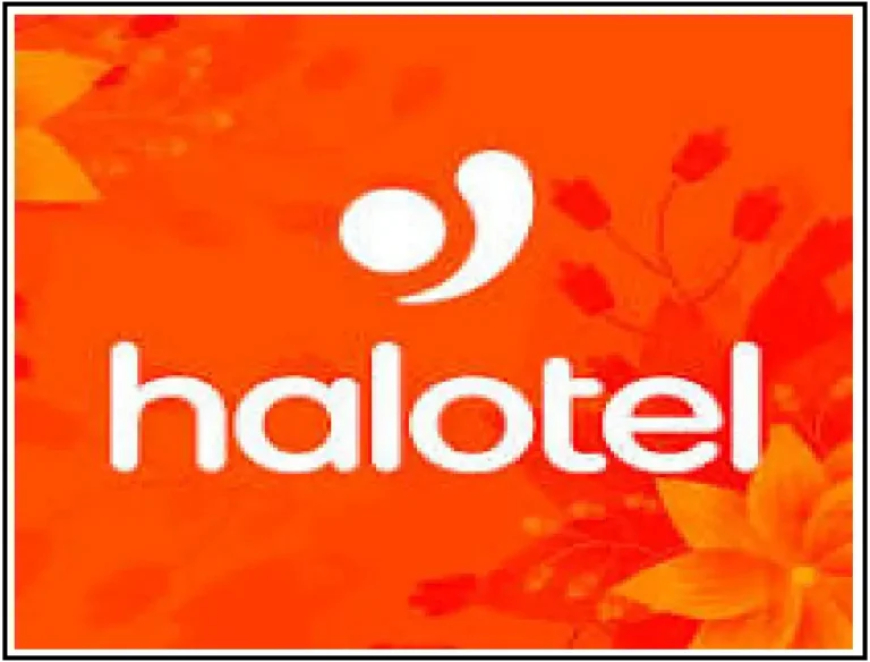 Nafasi za kazi 3 kutoka Mtandao wa simu wa Halotel - Februari 2025