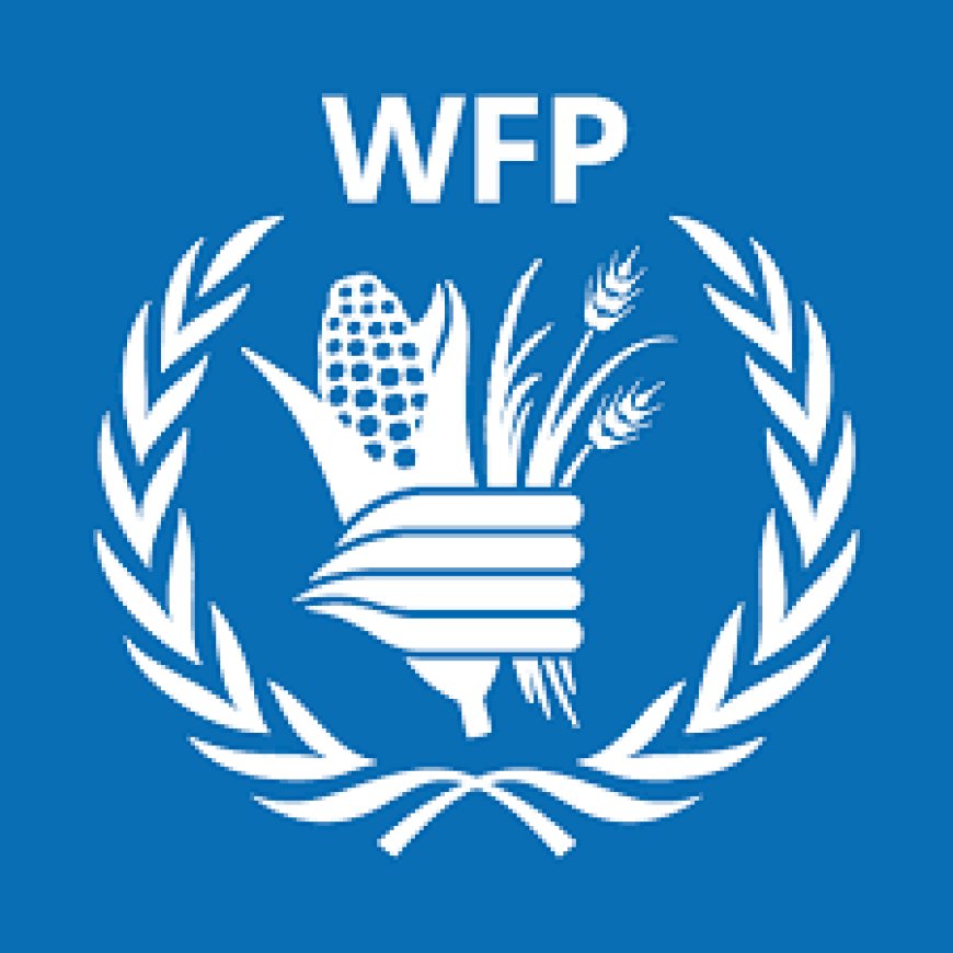 Ajira mpya katika Shirika la Chakula Duniani (WFP) - Januari 2025