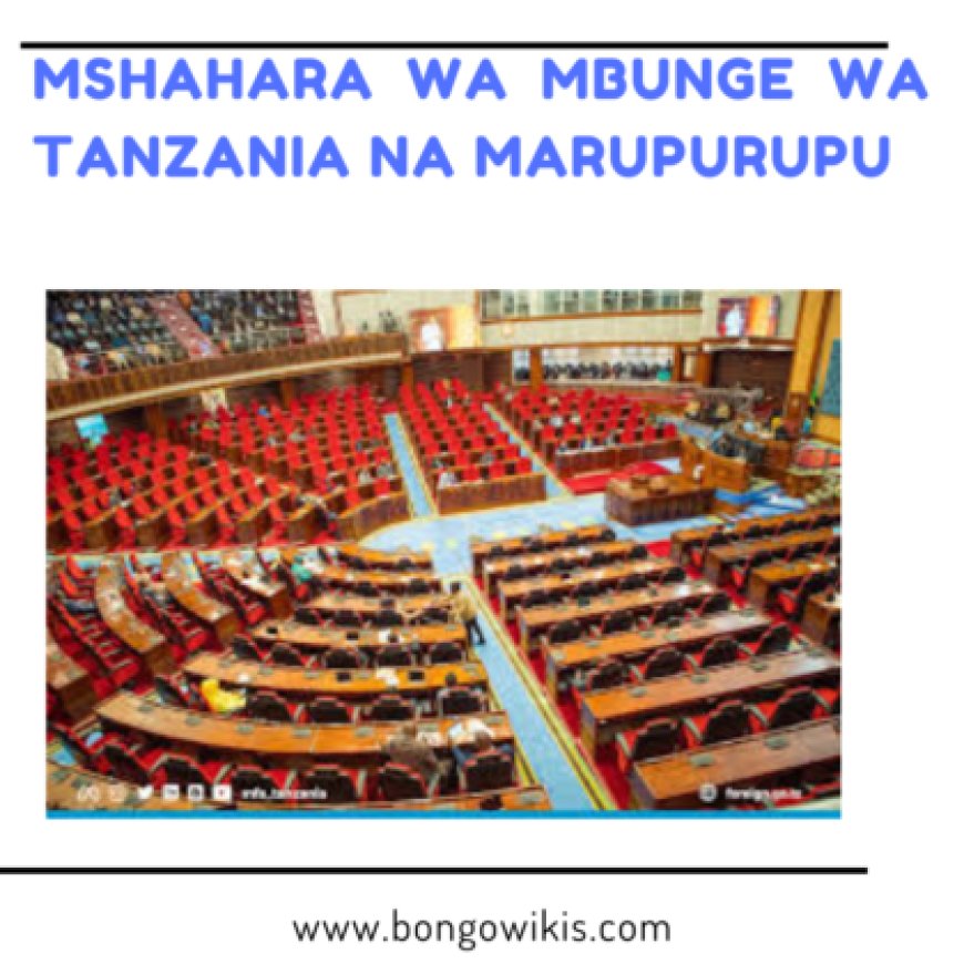 Mshahara wa Mbunge Wa Tanzania Na Marupurupu